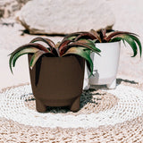 RYFO N ECO 6" - COFEE