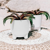RYFO N ECO 6" - WHITE