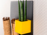 Magnetic CUBE 3.5"