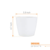 NUBIA 6"