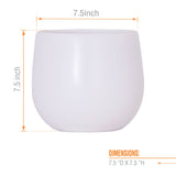VITORIA 7"