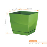 COUBI SQUARE 8"