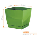 COUBI SQUARE 11"