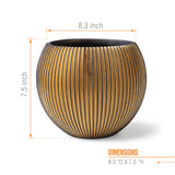 BALL GROOVE GOLD 8"