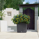 CUBE COTTAGE 16" Planter