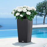CUBICO COTTAGE 16" Planter