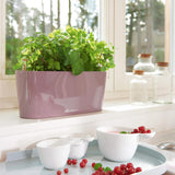 DELTA 10 Planter