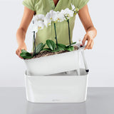 DELTA 20 Planter