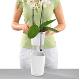 DELTINI Planter