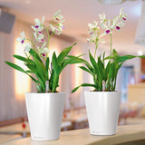 DELTINI Planter