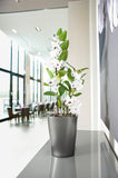 DELTINI Planter