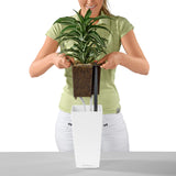 MAXI CUBI Planter
