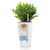 MAXI CUBI Planter