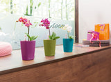 MINI DELTINI Planter