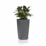 MINI CUBI Planter
