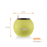 PURO COLOR 20 Planter