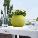 PURO COLOR 20 Planter