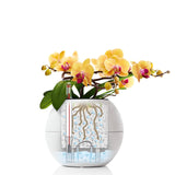PURO COLOR 20 Planter