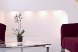 ADEL Orchid Planter - AUBERGINE