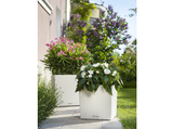 CUBE COTTAGE 16" Planter