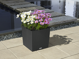 CUBE COTTAGE 16" Planter