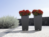CUBICO COTTAGE 16" Planter
