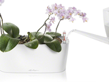 DELTA 10 Planter