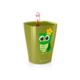 MINI DELTINI LITTLE OWL Planter - OLIVE GREEN