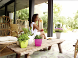 SIENA Table Pot