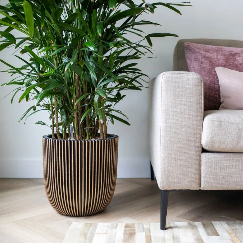 black and gold indoor planter Capi - Ball Planter Groove 35x34