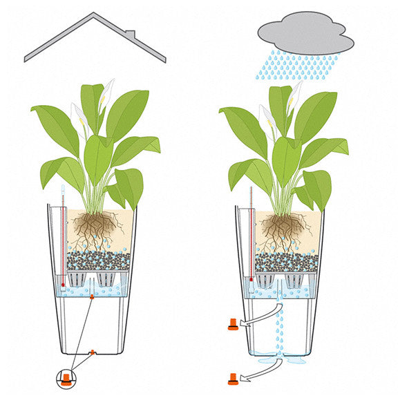 cubico self watering planter Lechuza Cubico Cottage 40 Planter