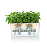 DELTA 20 Planter