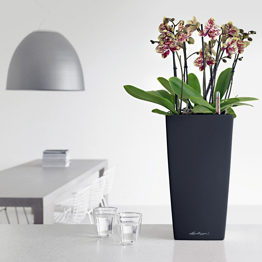 lechuza maxi cubi self-watering planter Lechuza Maxi-Cubi Self Watering Planter, White