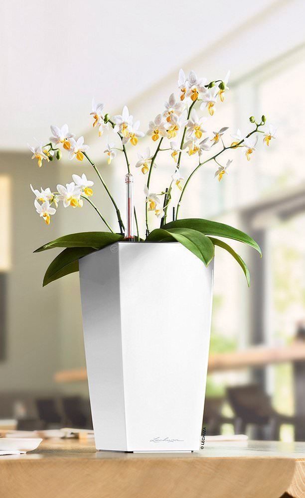 lechuza maxi cubi self-watering planter Lechuza Maxi-Cubi Self Watering Planter, White