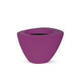 CAPI Orchid Planter - PURPLE